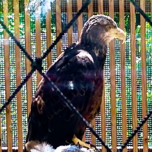 Meet your Posher, Patty